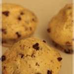 Muffins Légers Choco – Noisettes