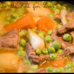 Navarin d’Agneau