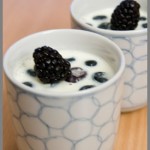 Panacotta … Pas Maison !