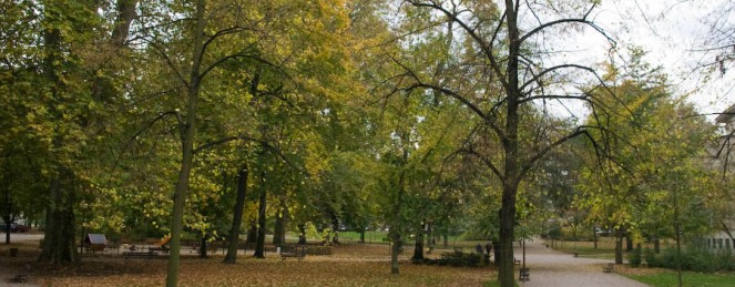 Un Dimanche d’Octobre : Pique Nique à Strasbourg