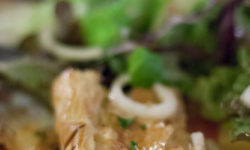 Voyage Papillon … Au Coeur des Caves de Roquefort