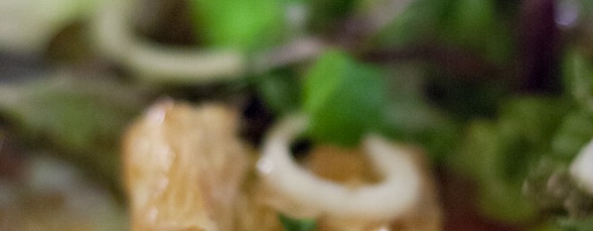 Voyage Papillon … Au Coeur des Caves de Roquefort