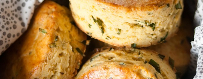 Scones au Cheddar et Estragon, Sans Gluten