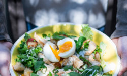Salade de la Brignane