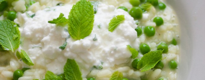 Risotto aux Petits Pois, Menthe, Cheddar et Cottage Cheese
